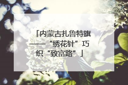 内蒙古扎鲁特旗——“绣花针”巧织“致富路”