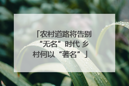 农村道路将告别“无名”时代 乡村何以“著名”