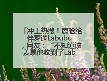冲上热搜！鹿晗给伴舞送Labubu，网友：“不知道该羡慕他收到了Labubu，还是该羡慕鹿晗送他礼物”