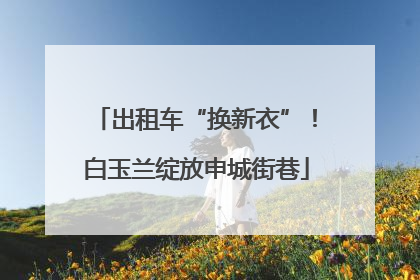 出租车“换新衣”！白玉兰绽放申城街巷
