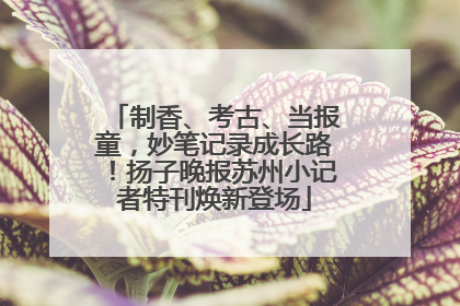 制香、考古、当报童，妙笔记录成长路！扬子晚报苏州小记者特刊焕新登场
