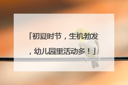 初夏时节，生机勃发，幼儿园里活动多！