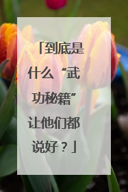 到底是什么“武功秘籍”让他们都说好？