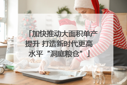 加快推动大面积单产提升 打造新时代更高水平“洞庭粮仓”
