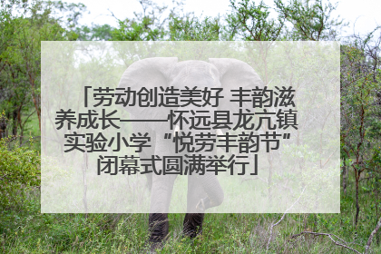 劳动创造美好 丰韵滋养成长——怀远县龙亢镇实验小学“悦劳丰韵节”闭幕式圆满举行