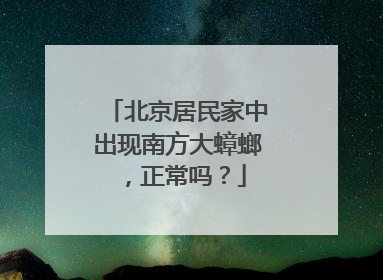 北京居民家中出现南方大蟑螂，正常吗？