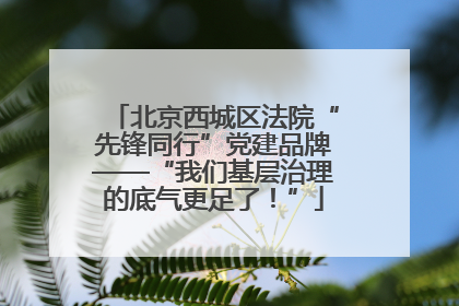 北京西城区法院“先锋同行”党建品牌——“我们基层治理的底气更足了！”