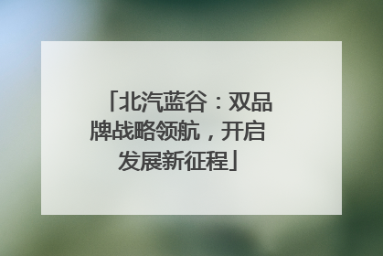 北汽蓝谷：双品牌战略领航，开启发展新征程