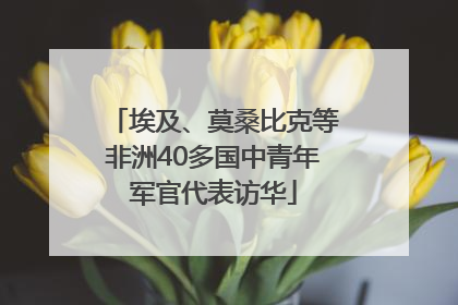 埃及、莫桑比克等非洲40多国中青年军官代表访华