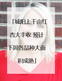 城阳上千亩红杏大丰收 预计下周各品种大面积成熟