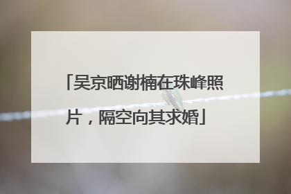 吴京晒谢楠在珠峰照片，隔空向其求婚