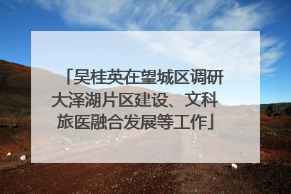 吴桂英在望城区调研大泽湖片区建设、文科旅医融合发展等工作