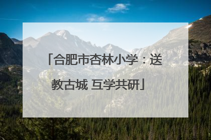 合肥市杏林小学：送教古城 互学共研
