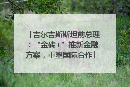 吉尔吉斯斯坦前总理：“金砖+”推新金融方案，重塑国际合作