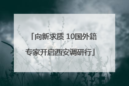 向新求质 10国外籍专家开启西安调研行