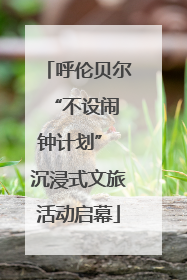 呼伦贝尔 “不设闹钟计划” 沉浸式文旅活动启幕