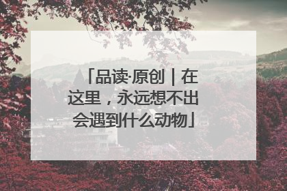 品读·原创｜在这里，永远想不出会遇到什么动物