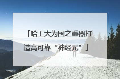 哈工大为国之重器打造高可靠“神经元”