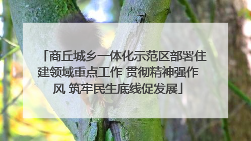 商丘城乡一体化示范区部署住建领域重点工作 贯彻精神强作风 筑牢民生底线促发展