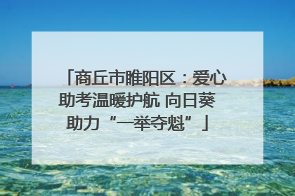商丘市睢阳区：爱心助考温暖护航 向日葵助力“一举夺魁”