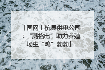 国网上杭县供电公司：“满格电”助力养殖场生“鸡”勃勃