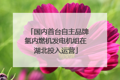 国内首台自主品牌氢内燃机发电机组在湖北投入运营