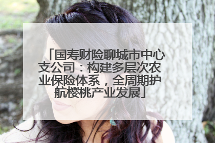 国寿财险聊城市中心支公司：构建多层次农业保险体系，全周期护航樱桃产业发展