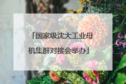 国家级沈大工业母机集群对接会举办