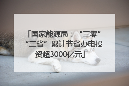 国家能源局：“三零”“三省”累计节省办电投资超3000亿元