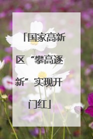 国家高新区“攀高逐新”实现开门红