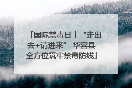 国际禁毒日丨“走出去+请进来” 华容县全方位筑牢禁毒防线