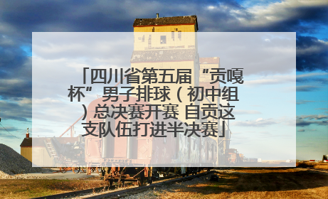 四川省第五届“贡嘎杯”男子排球（初中组）总决赛开赛 自贡这支队伍打进半决赛