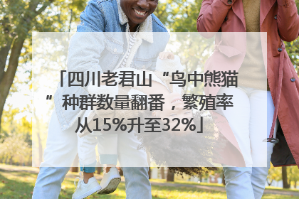 四川老君山“鸟中熊猫”种群数量翻番，繁殖率从15%升至32%