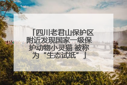 四川老君山保护区附近发现国家一级保护动物小灵猫 被称为“生态试纸”