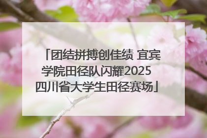 团结拼搏创佳绩 宜宾学院田径队闪耀2025四川省大学生田径赛场