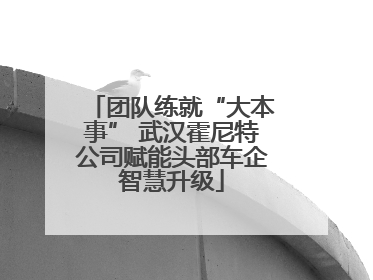 团队练就“大本事” 武汉霍尼特公司赋能头部车企智慧升级