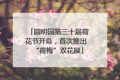 圆明园第三十届荷花节开幕，首次推出“荷梅”双花展