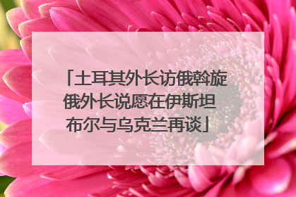 土耳其外长访俄斡旋 俄外长说愿在伊斯坦布尔与乌克兰再谈
