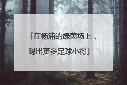在杨浦的绿茵场上，踢出更多足球小将