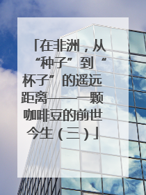 在非洲，从“种子”到“杯子”的遥远距离——一颗咖啡豆的前世今生（三）
