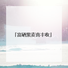 富硒紫麦喜丰收