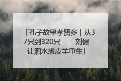 孔子故里孝贤多｜从37只到320只——刘健让泗水裘皮羊重生