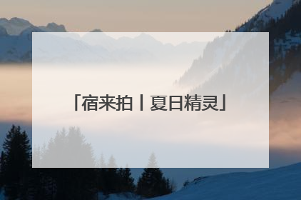 宿来拍丨夏日精灵