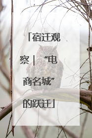 宿迁观察｜“电商名城”的跃迁