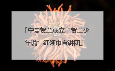 宁夏贺兰成立“贺兰少年说”红领巾宣讲团