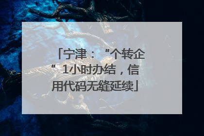 宁津：“个转企”1小时办结，信用代码无缝延续