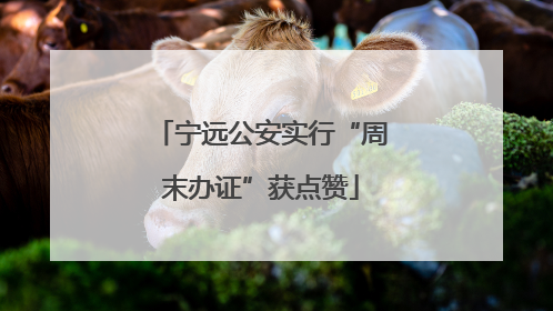 宁远公安实行“周末办证”获点赞
