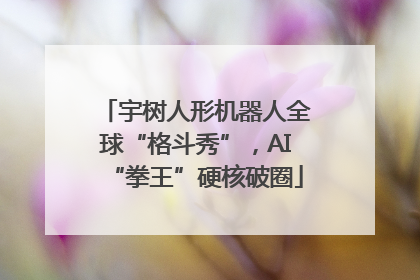 宇树人形机器人全球“格斗秀”，AI“拳王”硬核破圈