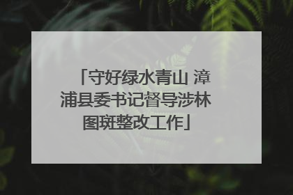 守好绿水青山 漳浦县委书记督导涉林图斑整改工作