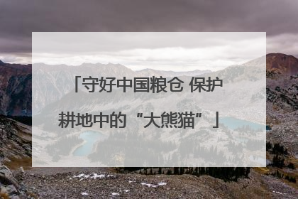 守好中国粮仓 保护耕地中的“大熊猫”